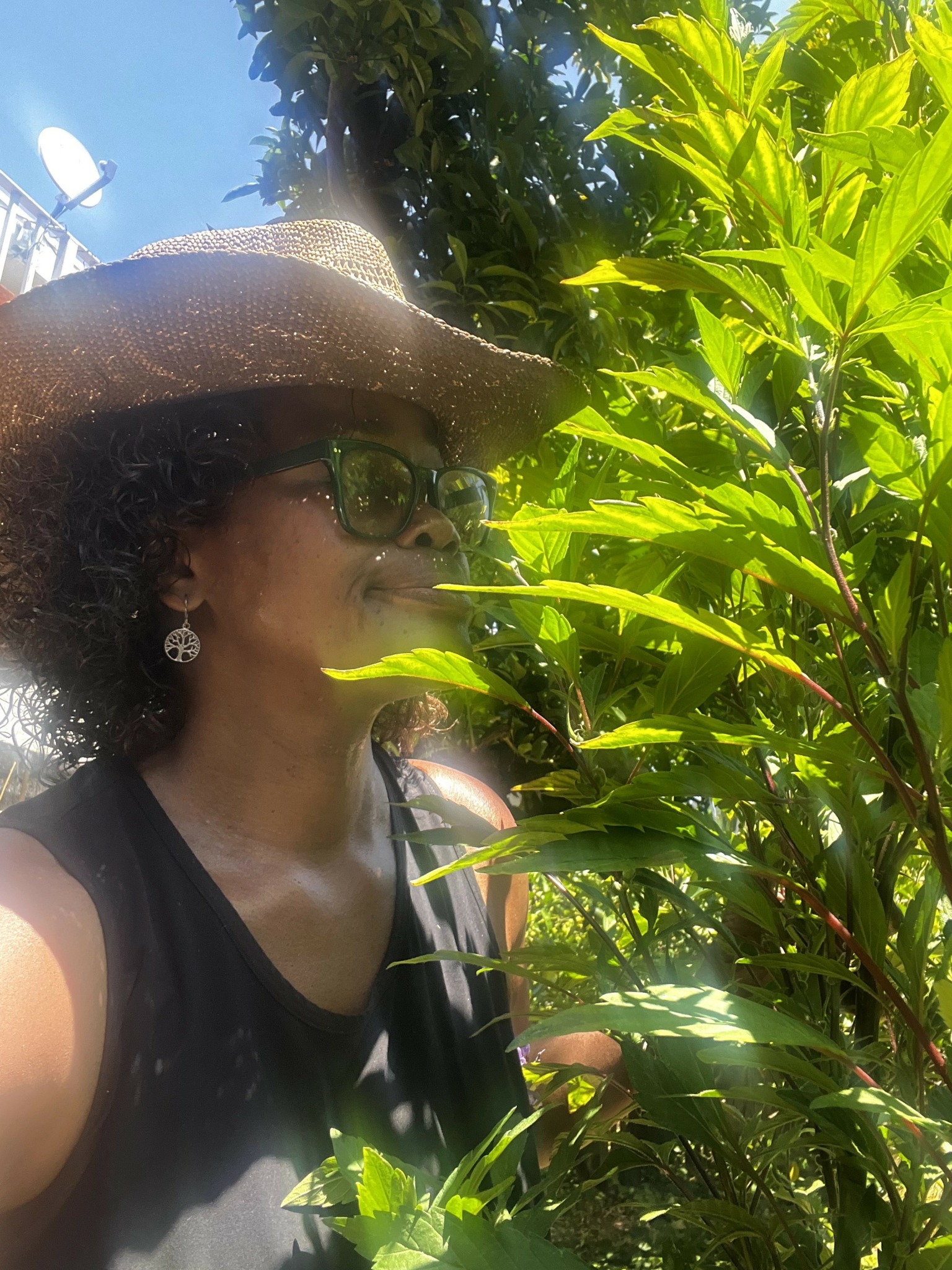 Woman wearing a hat and sunglasses among green plants outdoors on sunny day.