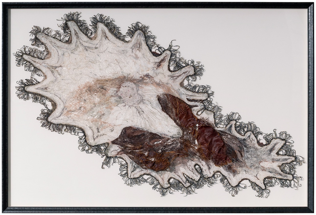 Framed image of a flat, irregularly shaped object with a textured surface and dark brown areas, on a white background.