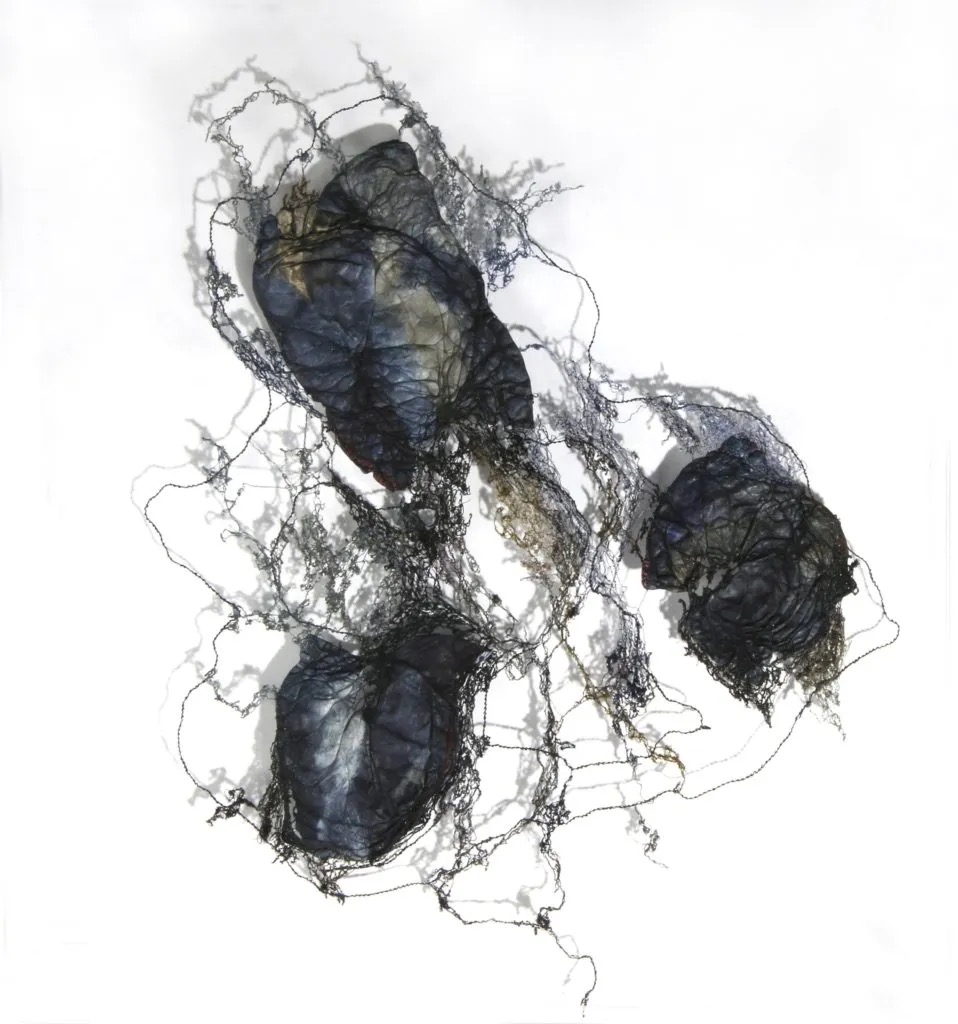Three dark, irregularly shaped objects with tangled, thread-like structures on a white background.