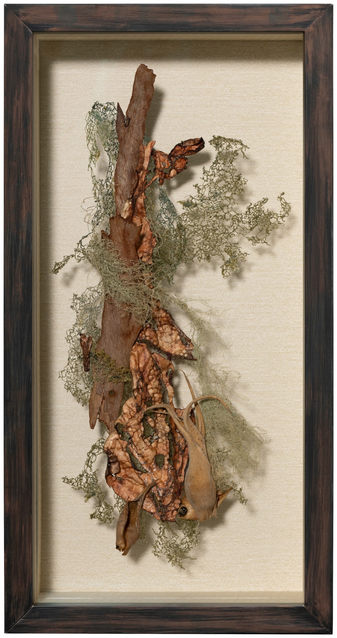 Framed artwork with a tree branch, moss, and bark pieces arranged vertically on a light background.