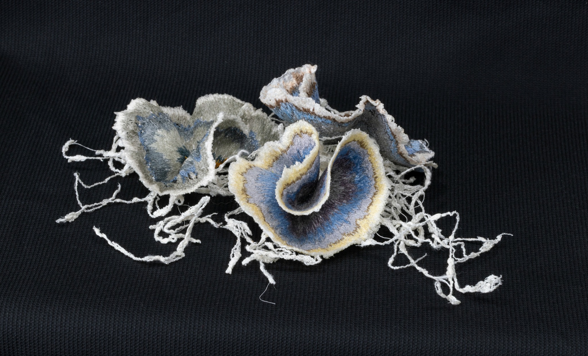 Cluster of frayed, textured fabric pieces with curled edges on a dark background.