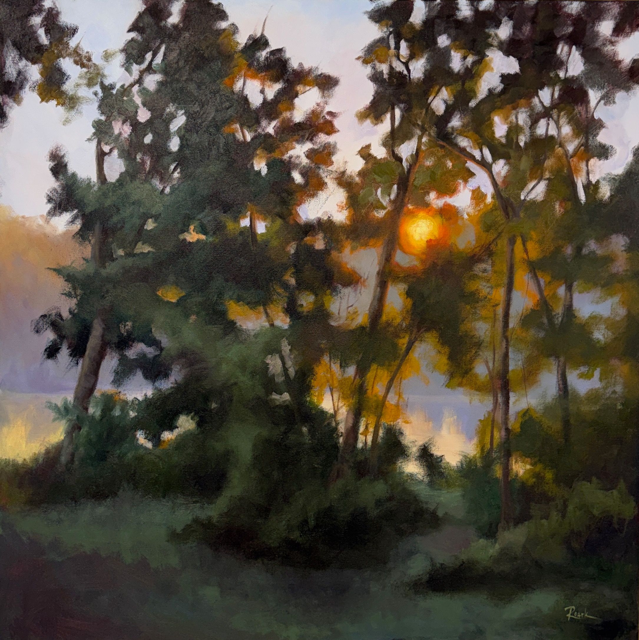 Sunset behind trees with orange glow, leaves and branches silhouetted, sky with clouds, ground with grass and shadows.