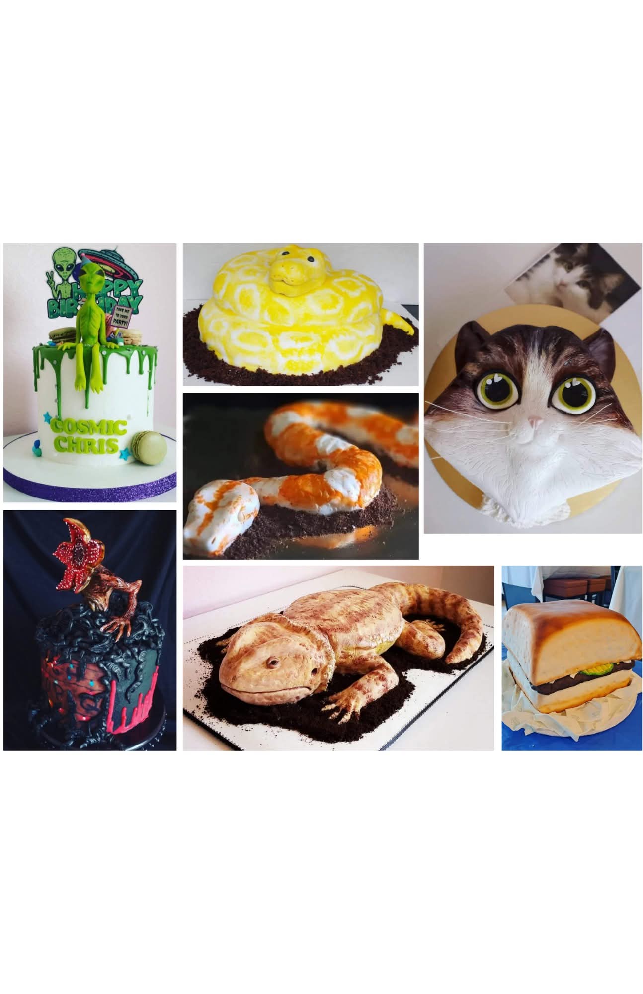 Birthday cake with green and blue decorations, yellow cake with frosting, cat with large eyes, sushi rolls, burger, and a fried chicken drumstick.