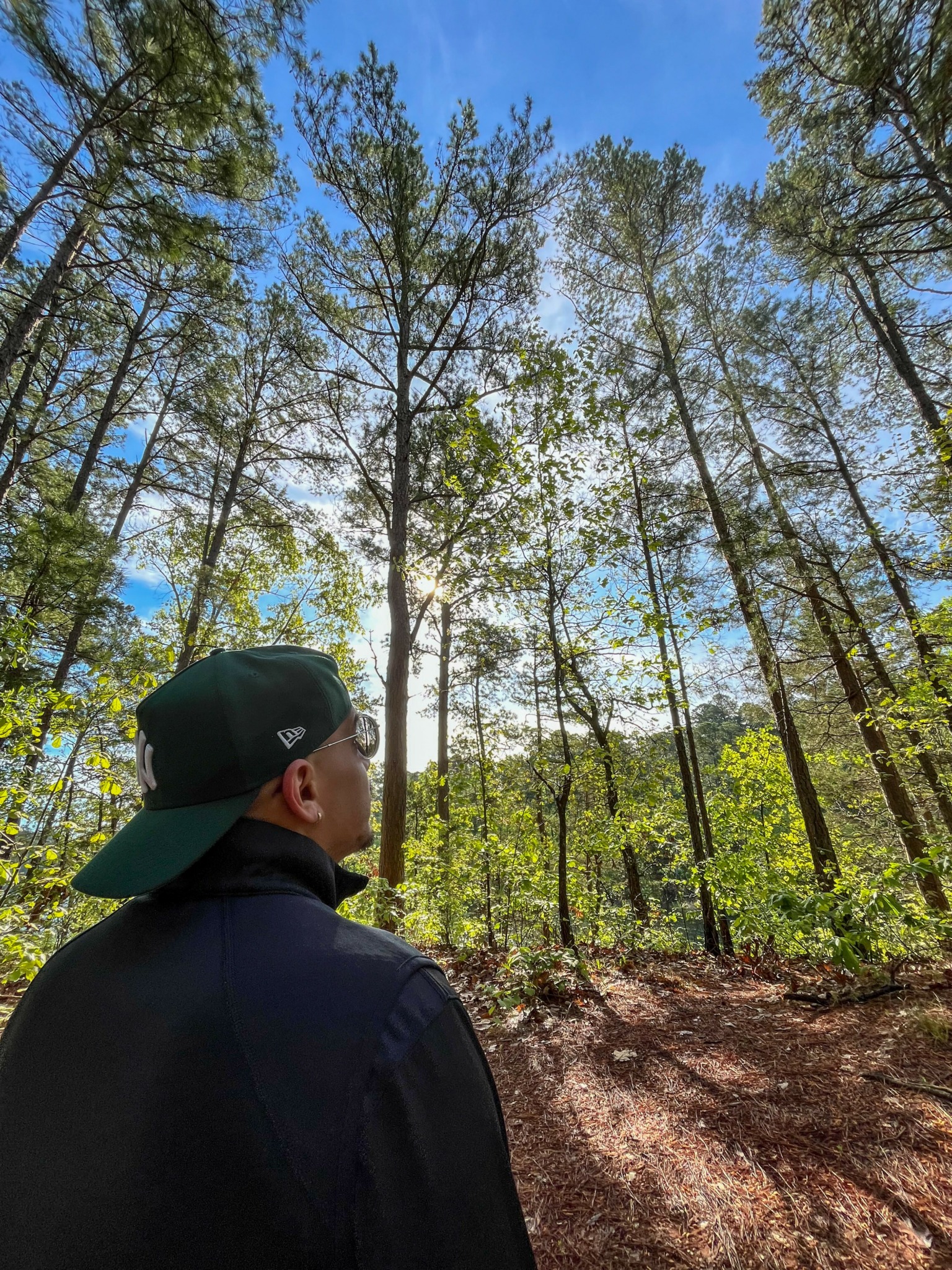 Person wearing a black cap and jacket looking up at tall trees in a forest with a blue sky.