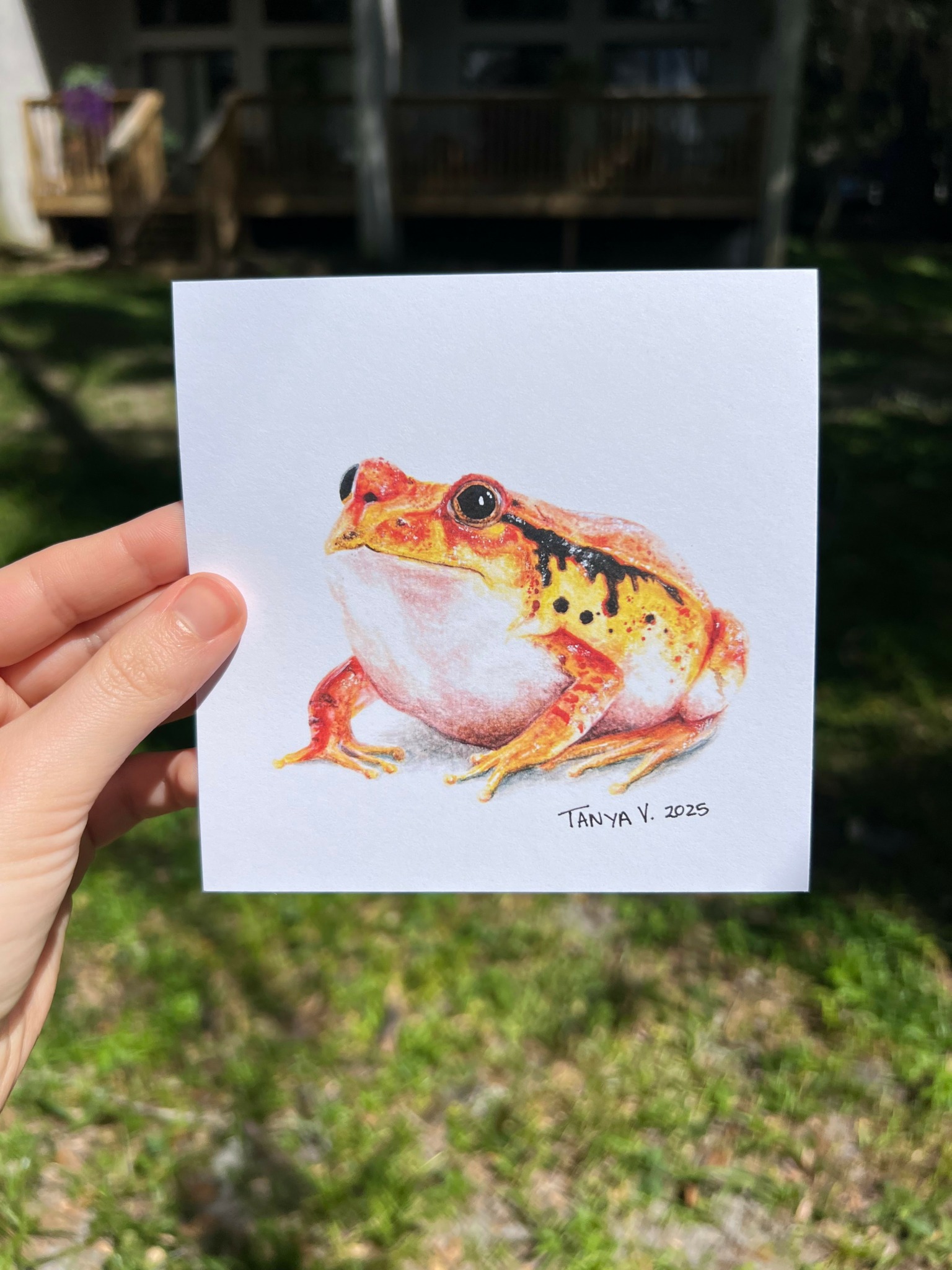 Hand holding a drawing of a frog with orange, yellow, and black markings, outdoors with grass and trees in background.
