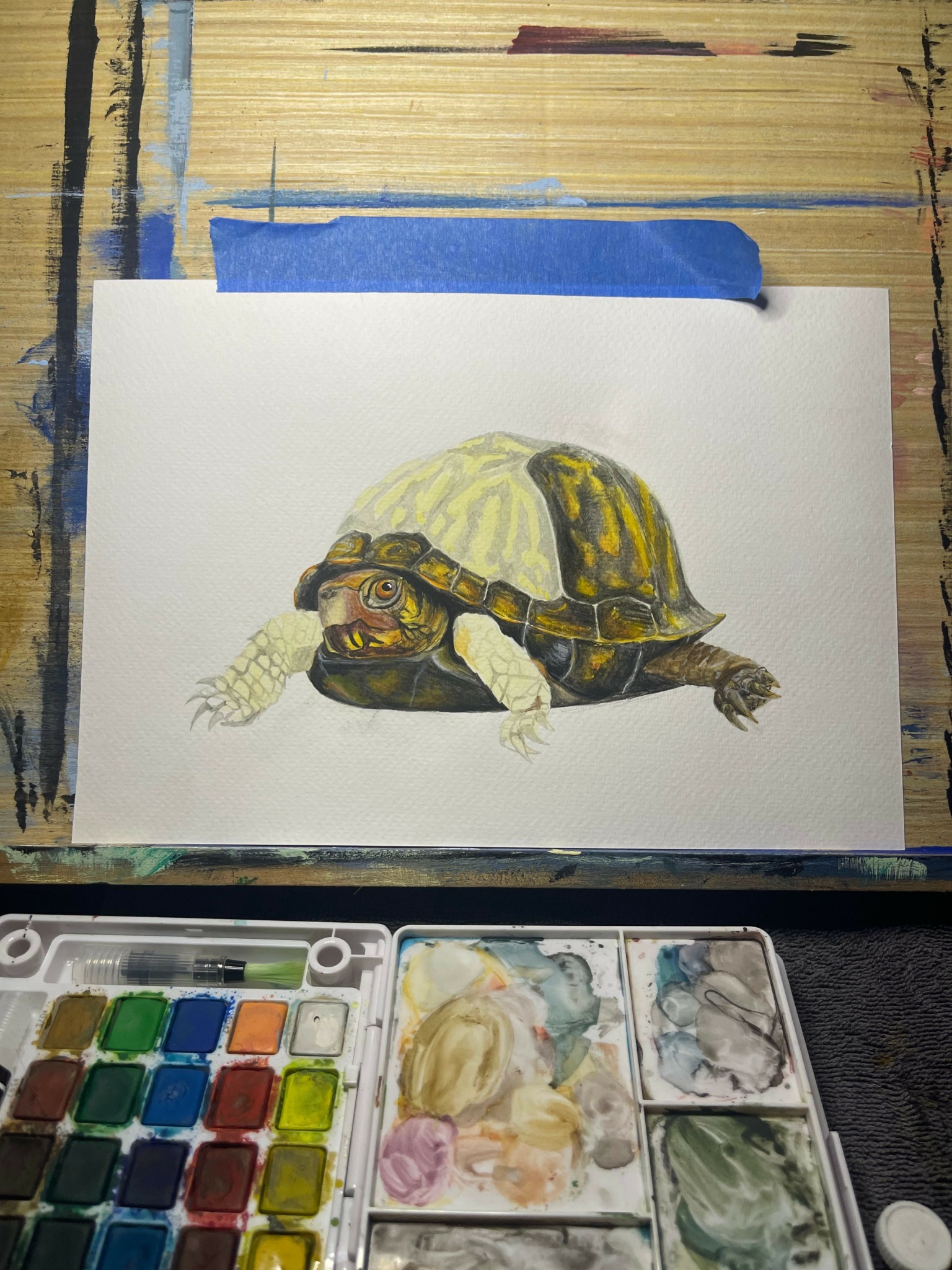 A turtle with a patterned shell and glasses, with four legs and head extended, on a white background.