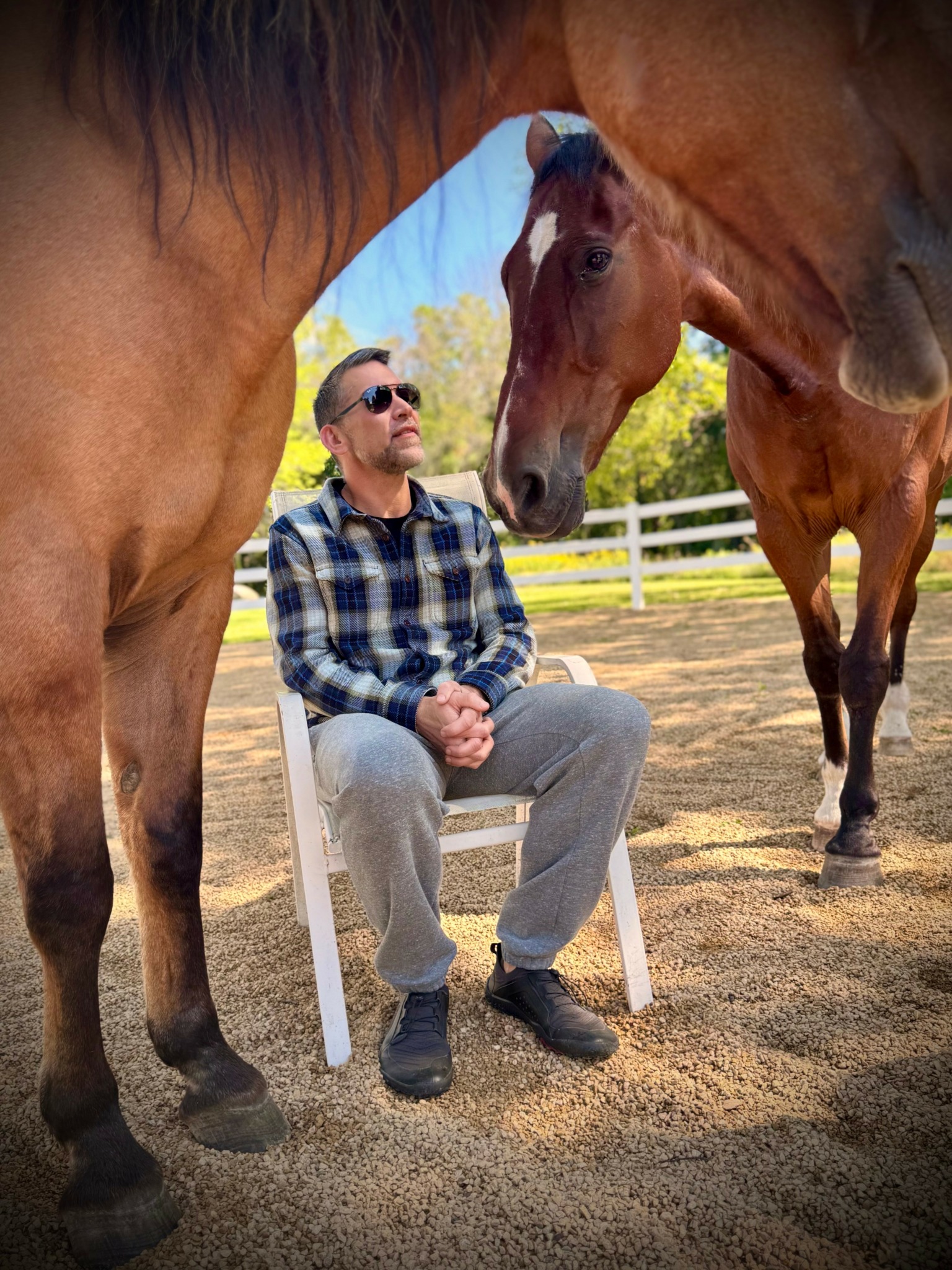 Man sitting on a white chair outdoors between two large horses, with trees and a fence in the background.