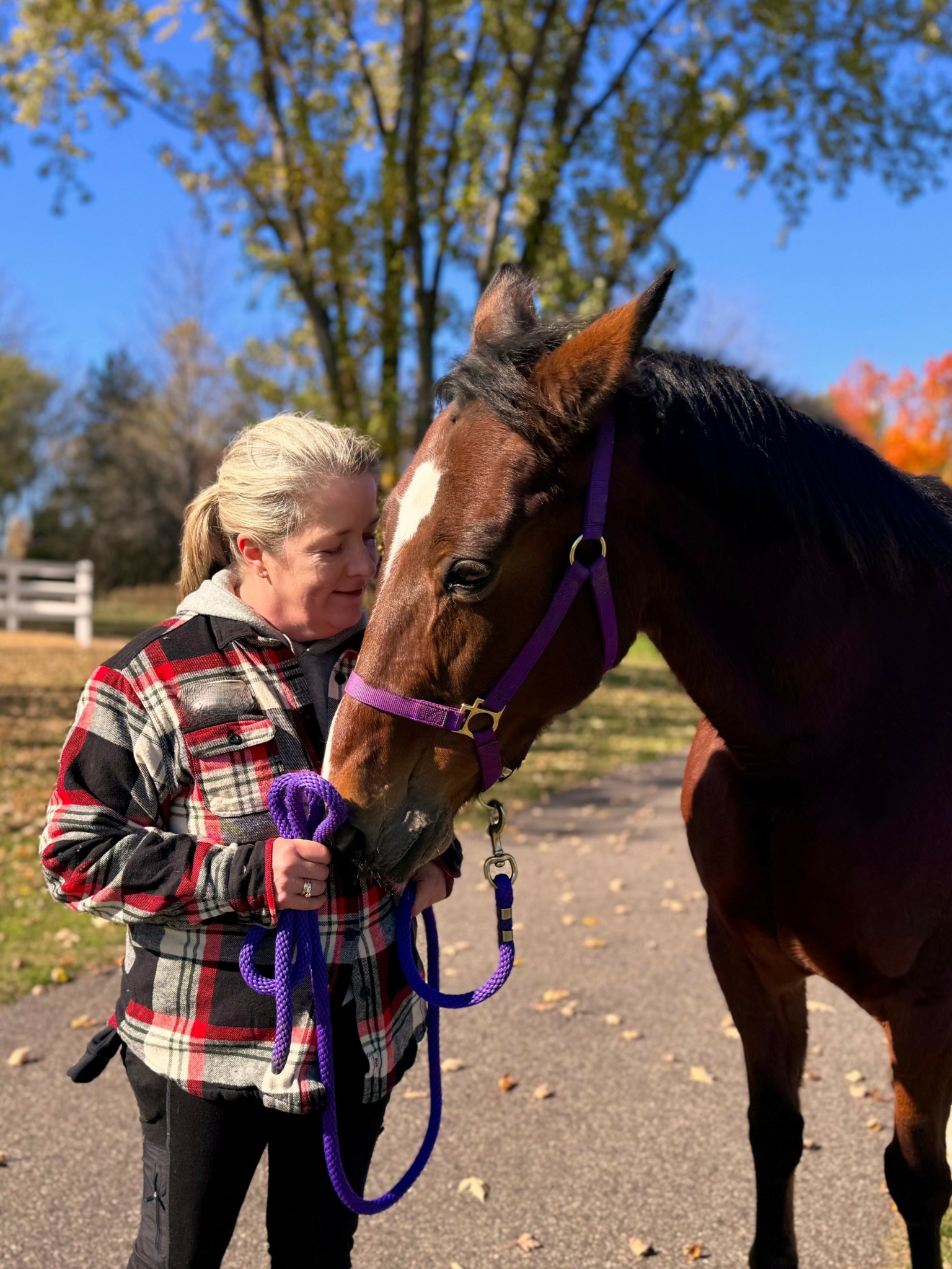 Woman in plaid jacket holding a brown horse with a purple halter outdoors on a sunny day.