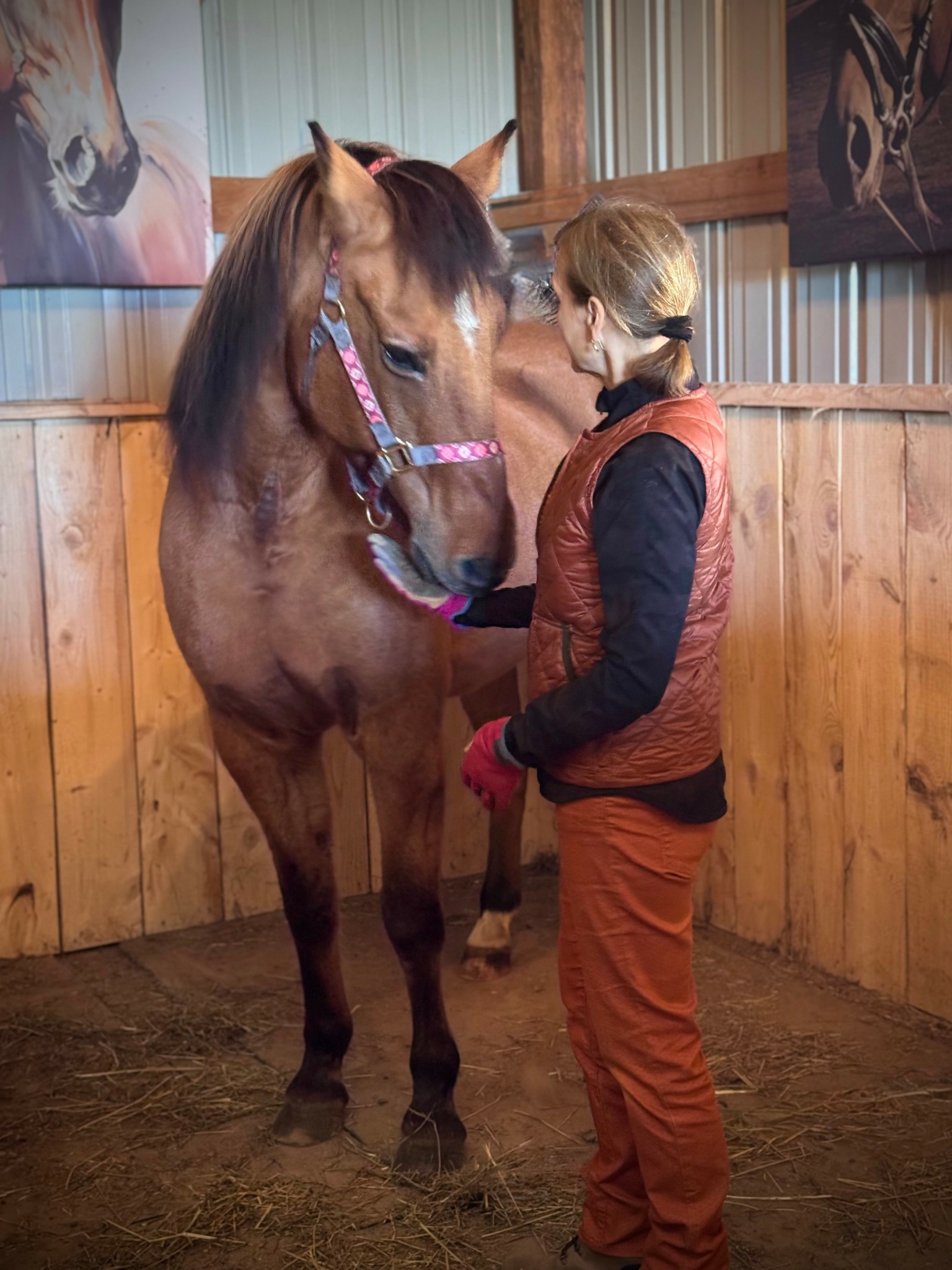 Person with blonde hair in a brown vest and orange pants stands facing a large brown horse inside a wooden stable.