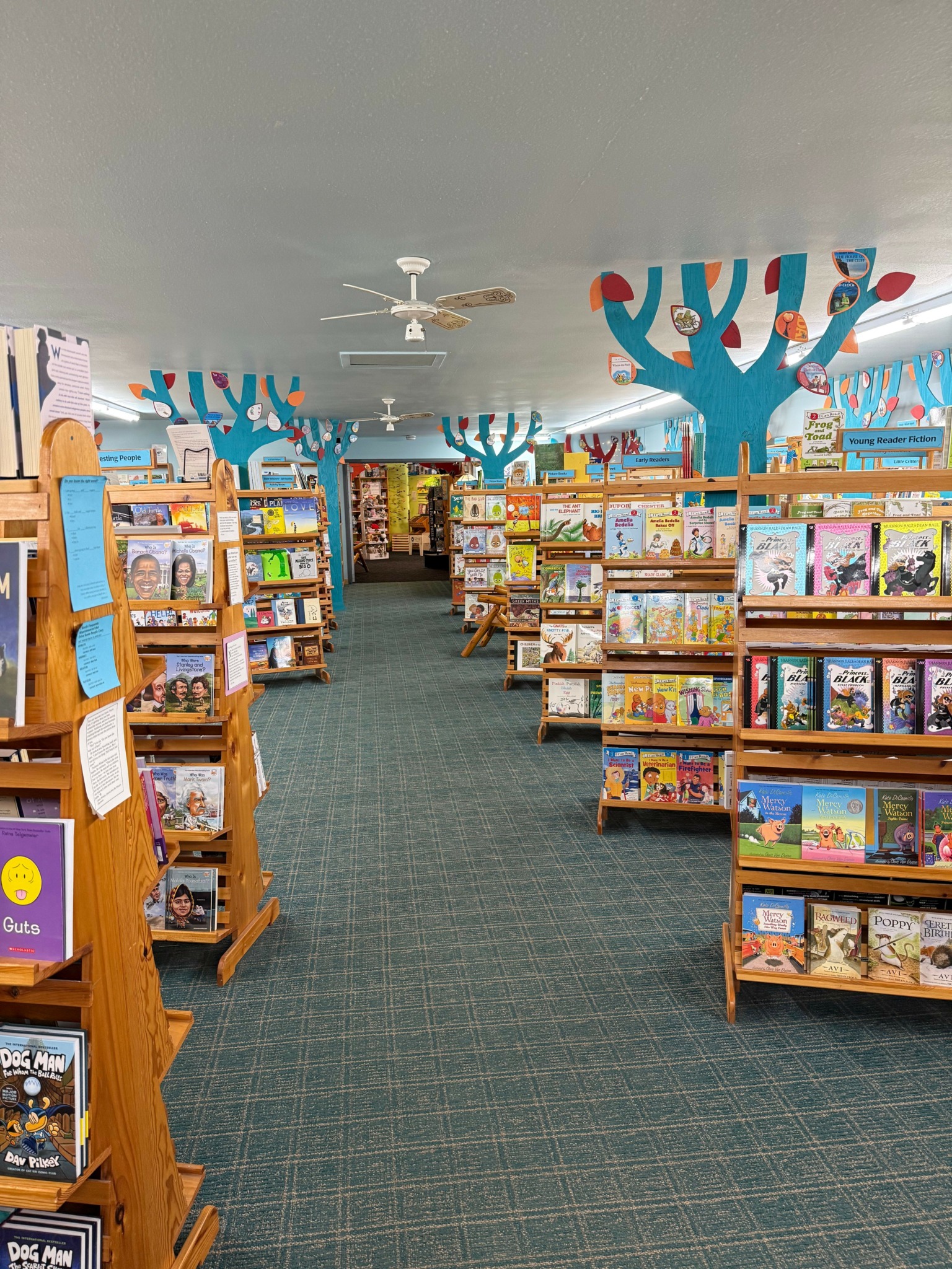 Bookshelves filled with books in a library or bookstore, with a carpeted floor and colorful decorations on the wall.