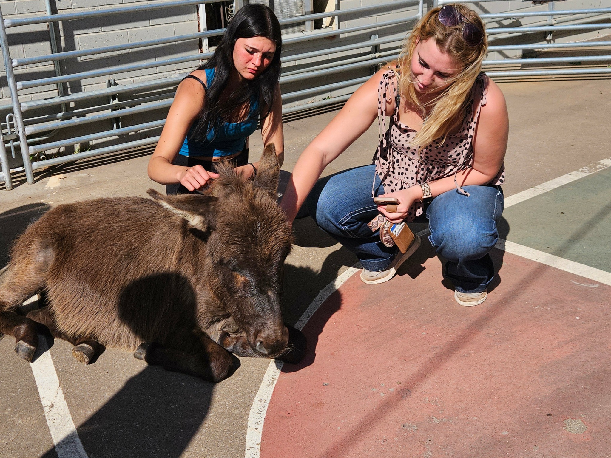 Two women crouch near a young bear on a sports court, petting it. Fence and court lines are visible.