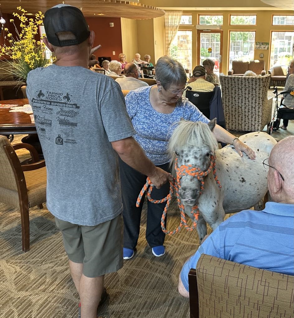 A woman with gray hair and glasses interacts with a small, white dog with orange accessories, in a room with elderly people.