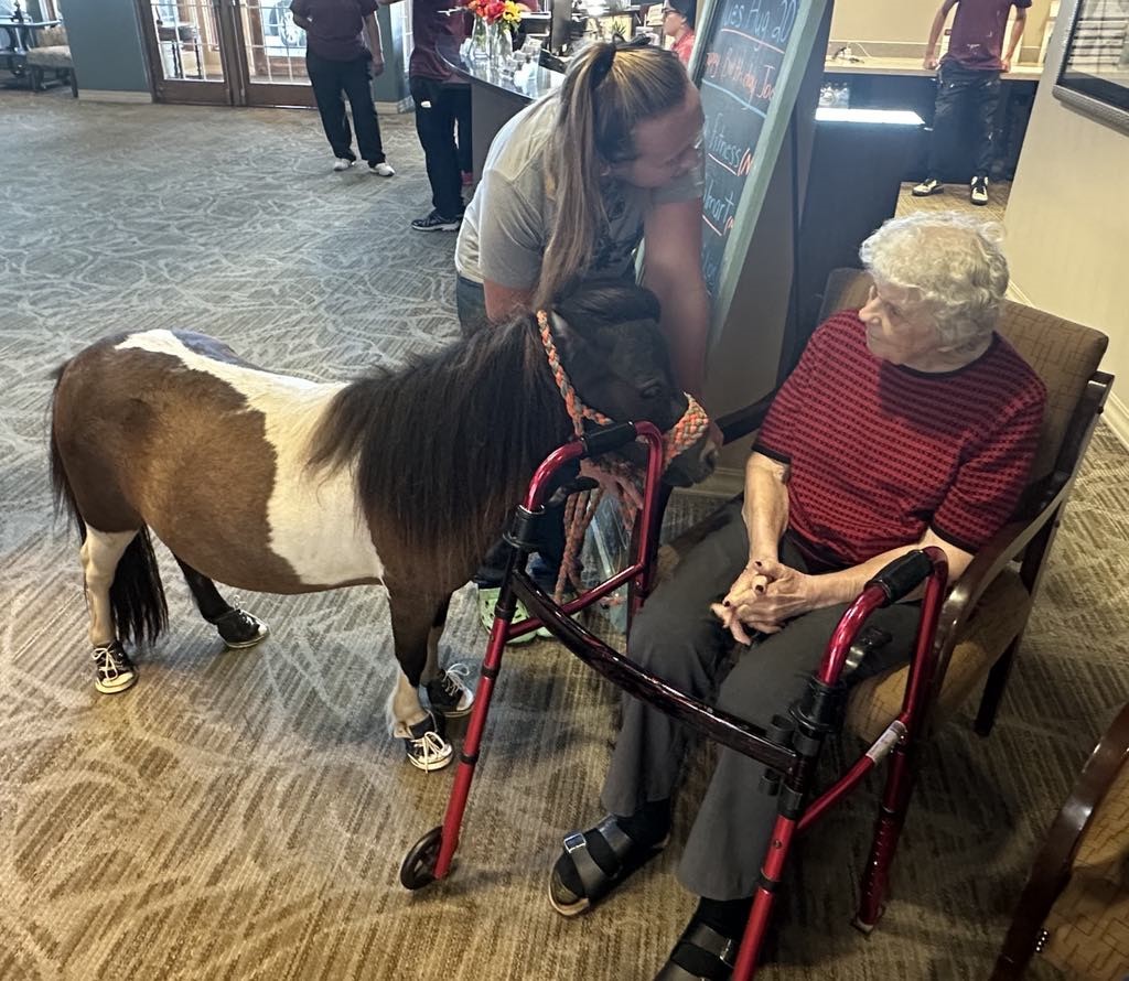 Elderly woman with white hair sitting in a chair with a walker, a small pony stands nearby, and a woman leans over to interact.