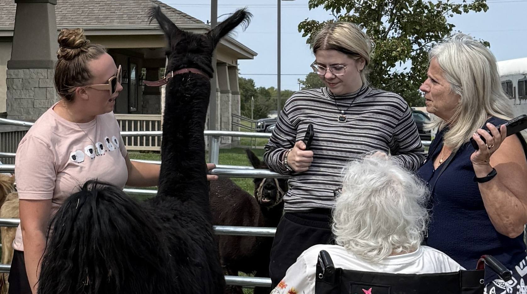 Three women and a person with white hair interact with a black llama at a farm or zoo, with trees and a building in background.