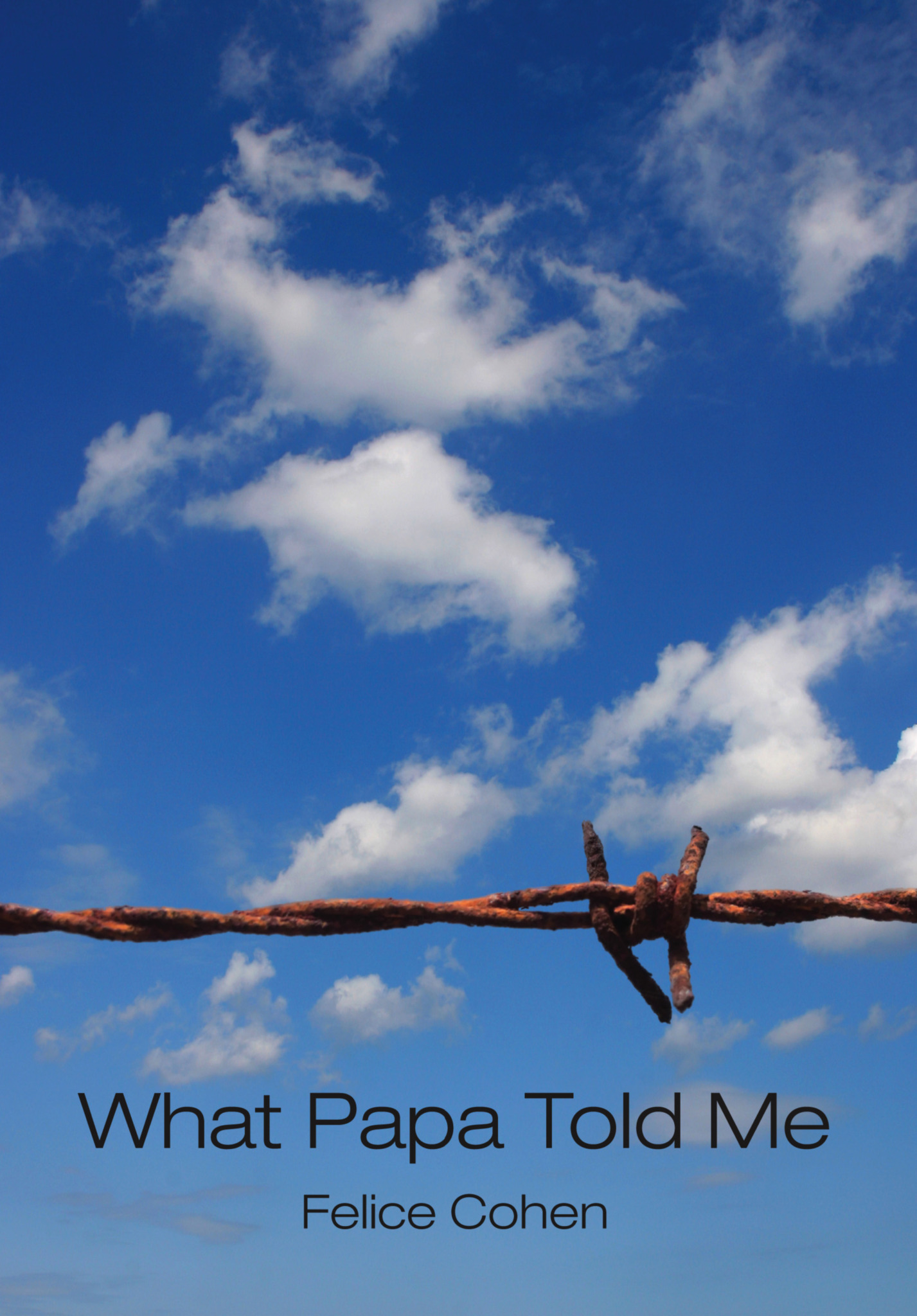 Blue sky with scattered white clouds and a barbed wire in the foreground, with the text 'What Papa Told Me' and 'Felice Cohen'.