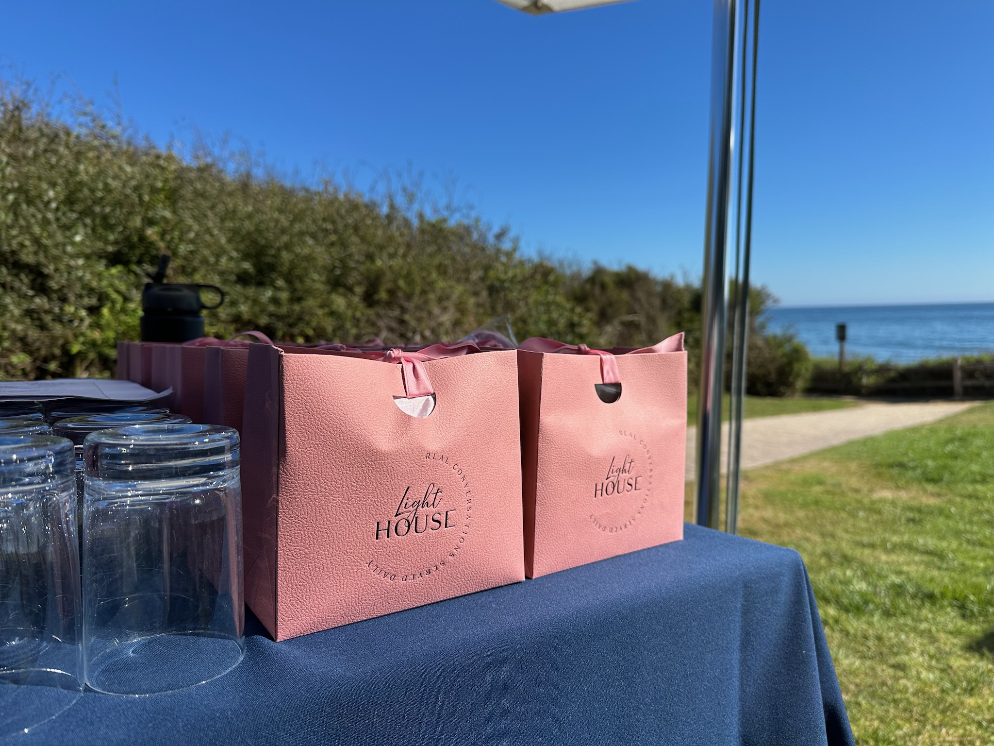 Two pink paper bags on a blue tablecloth outdoors near a grassy area and ocean, with a pole and sky in background.