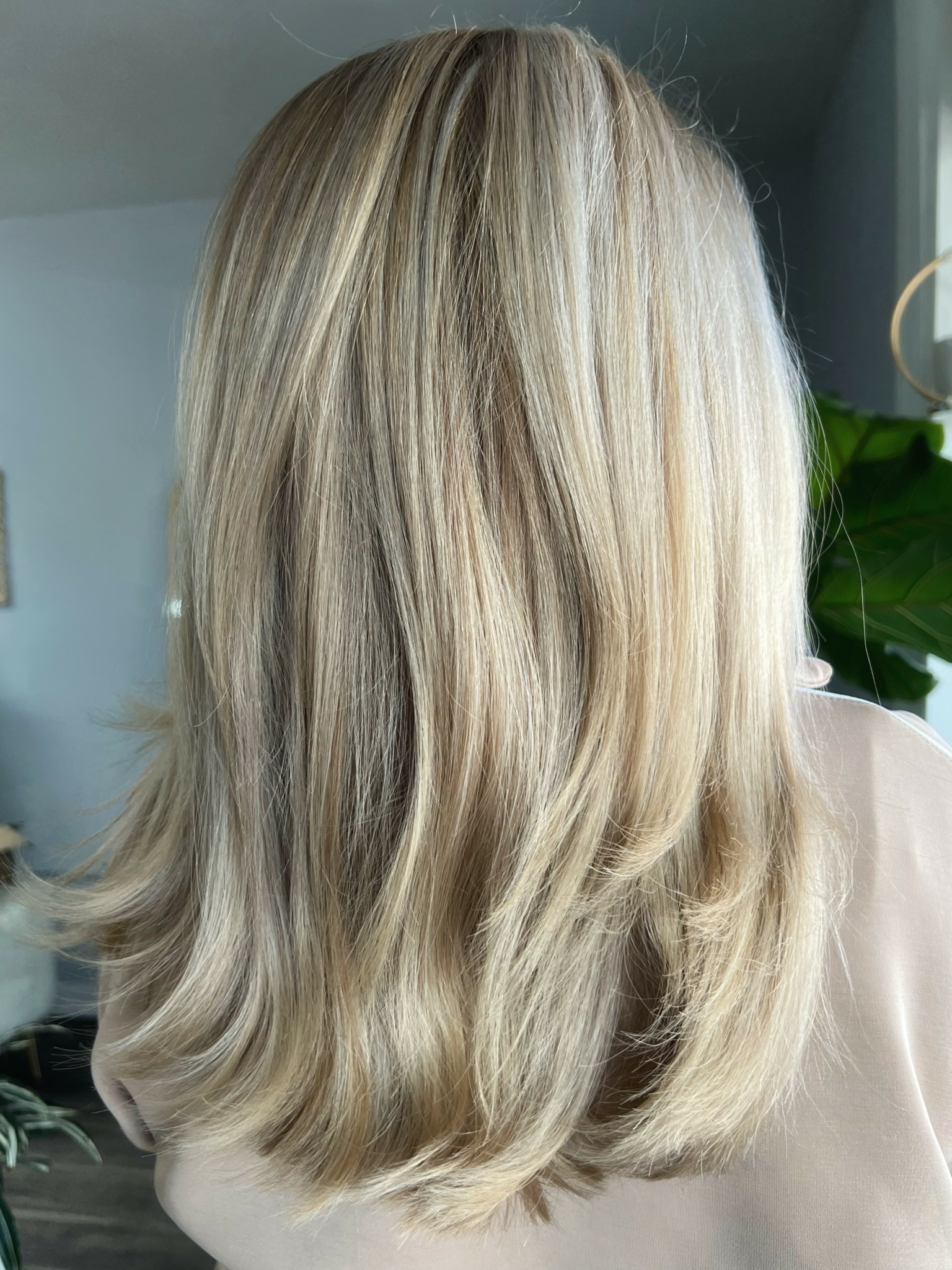 Back of a person's head with shoulder-length blonde hair, indoors near a window with a plant.