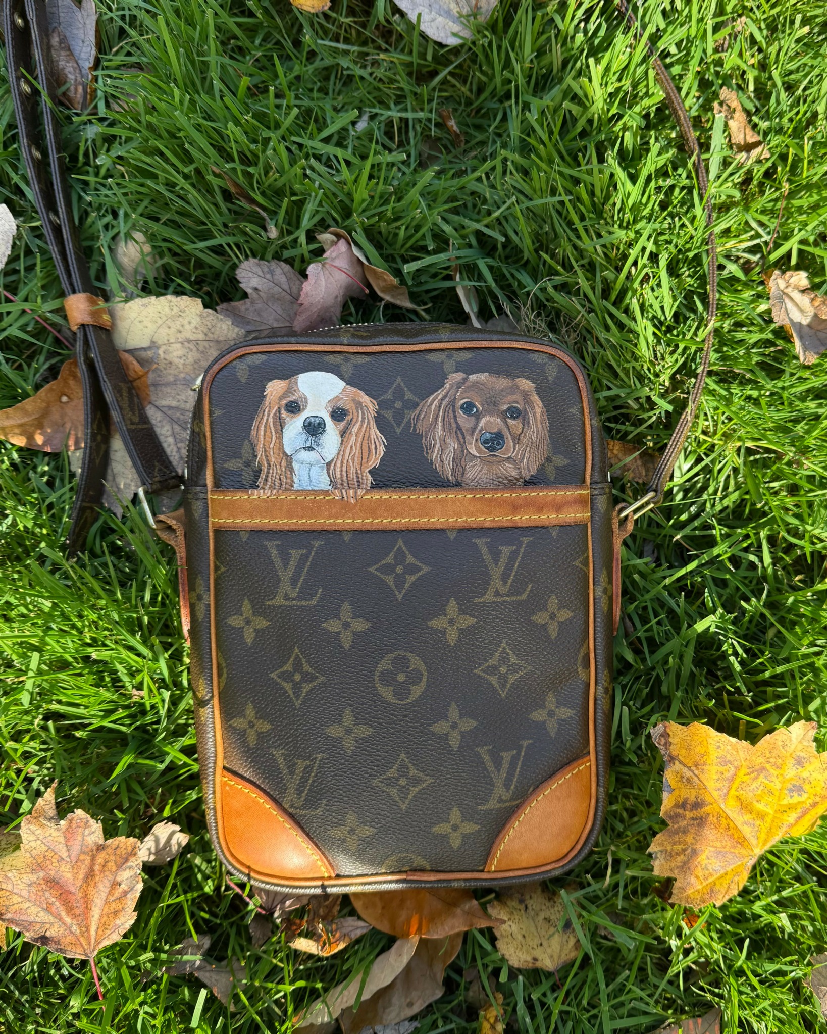Dog-themed backpack with two dog faces on top, resting on grass with fallen leaves around.