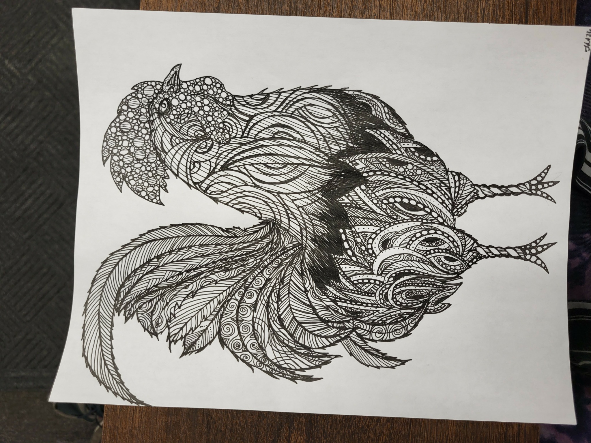 Detailed black and white drawing of a fish with intricate patterns and flowing fins.
