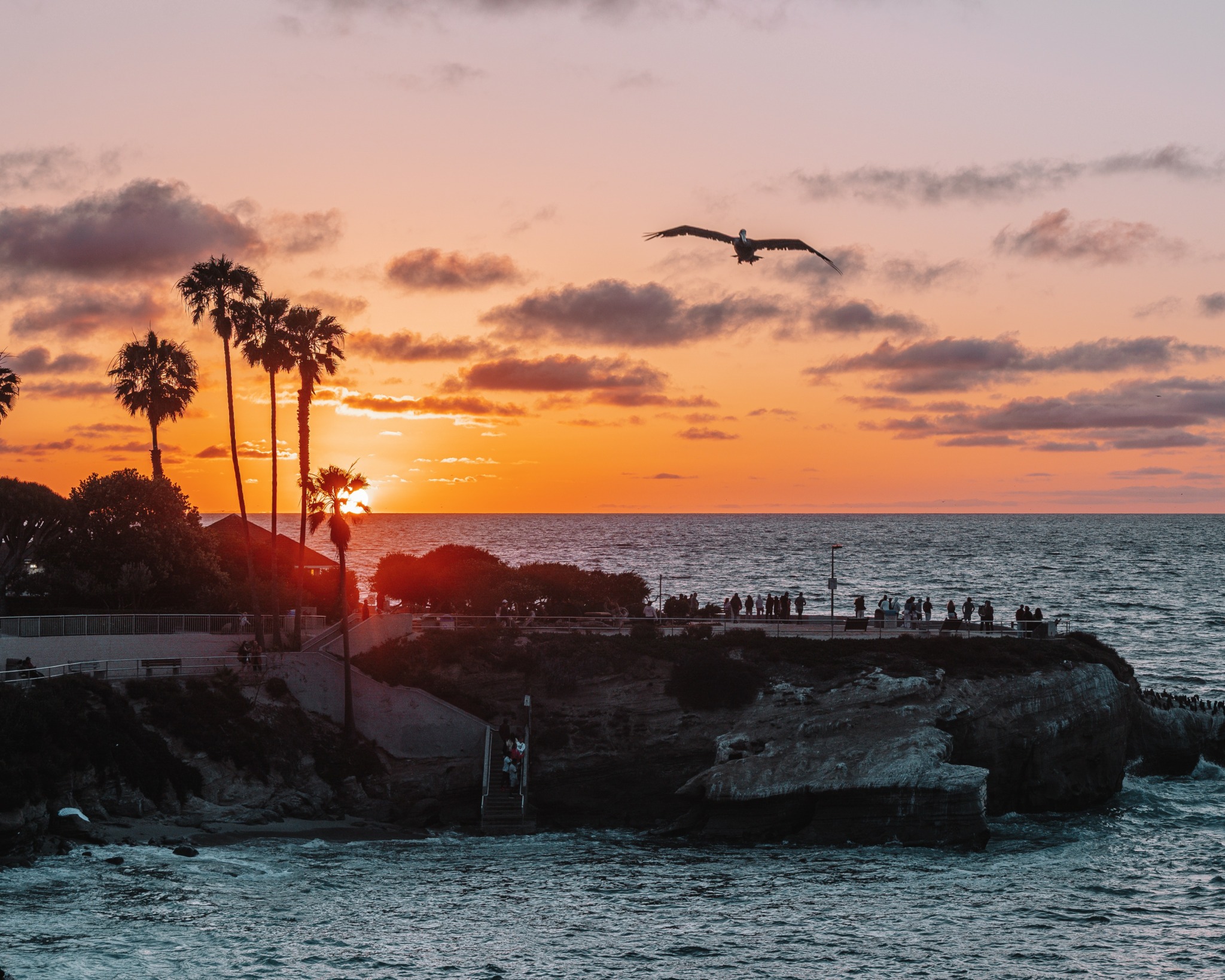 Sunset over the ocean with palm trees, a bird flying, and a rocky shoreline with people, clouds in the sky.