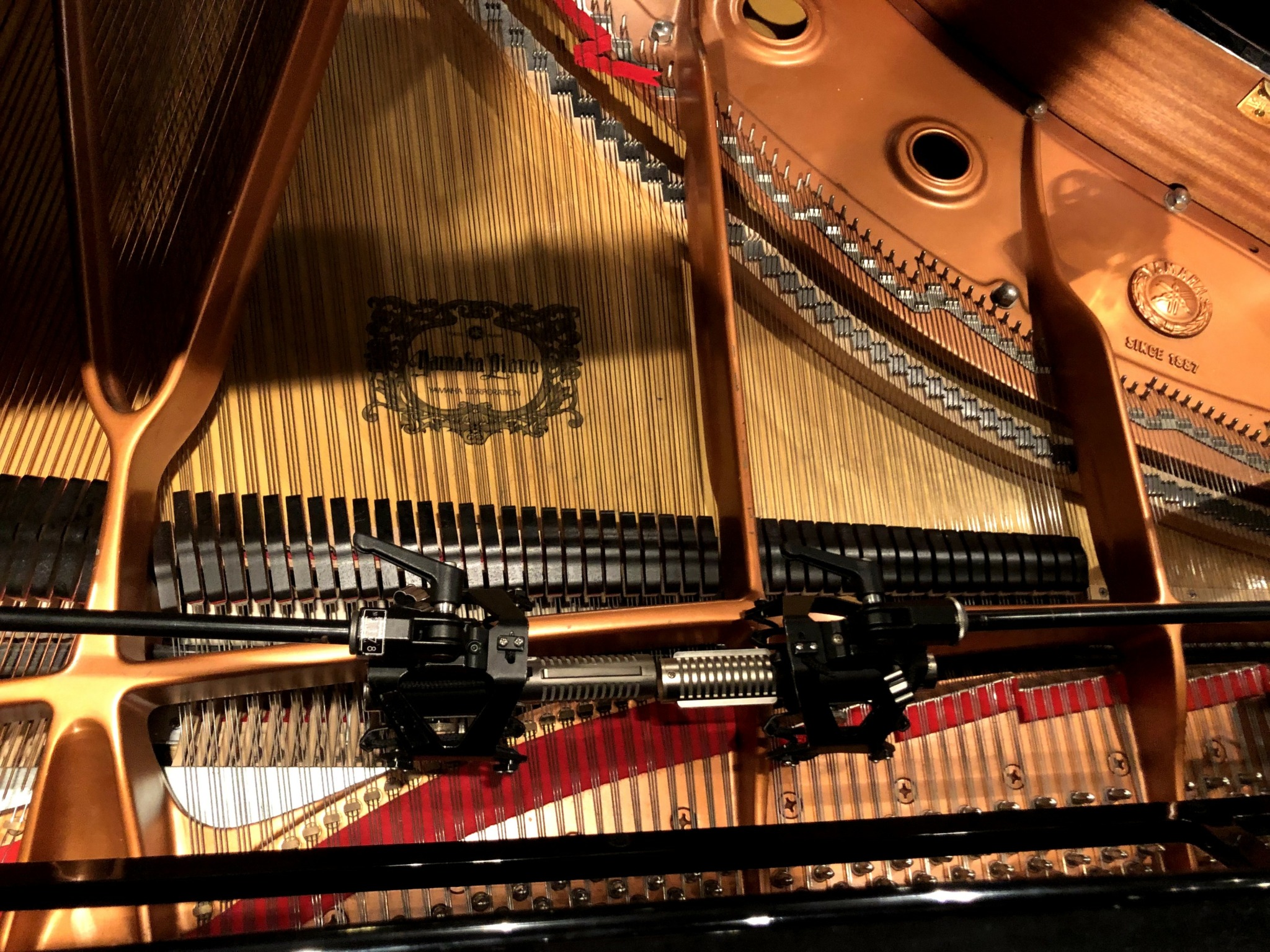 Inside a grand piano showing strings, hammers, and the soundboard, with a focus on the strings and internal components.