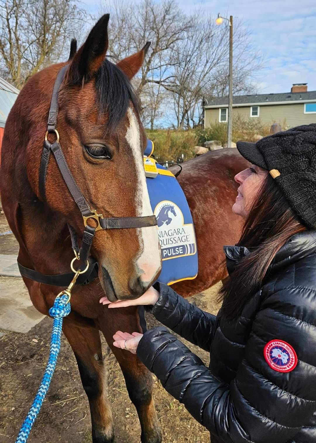 Person in black jacket and hat gently touching a brown horse's face outdoors.