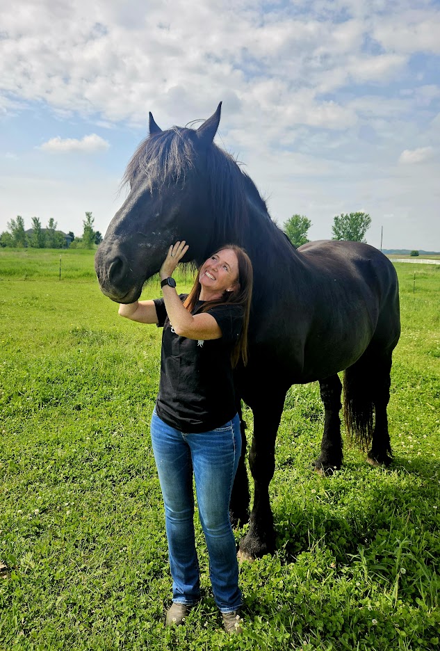 Person hugging a large black horse outdoors on green grass with a blue sky and clouds.