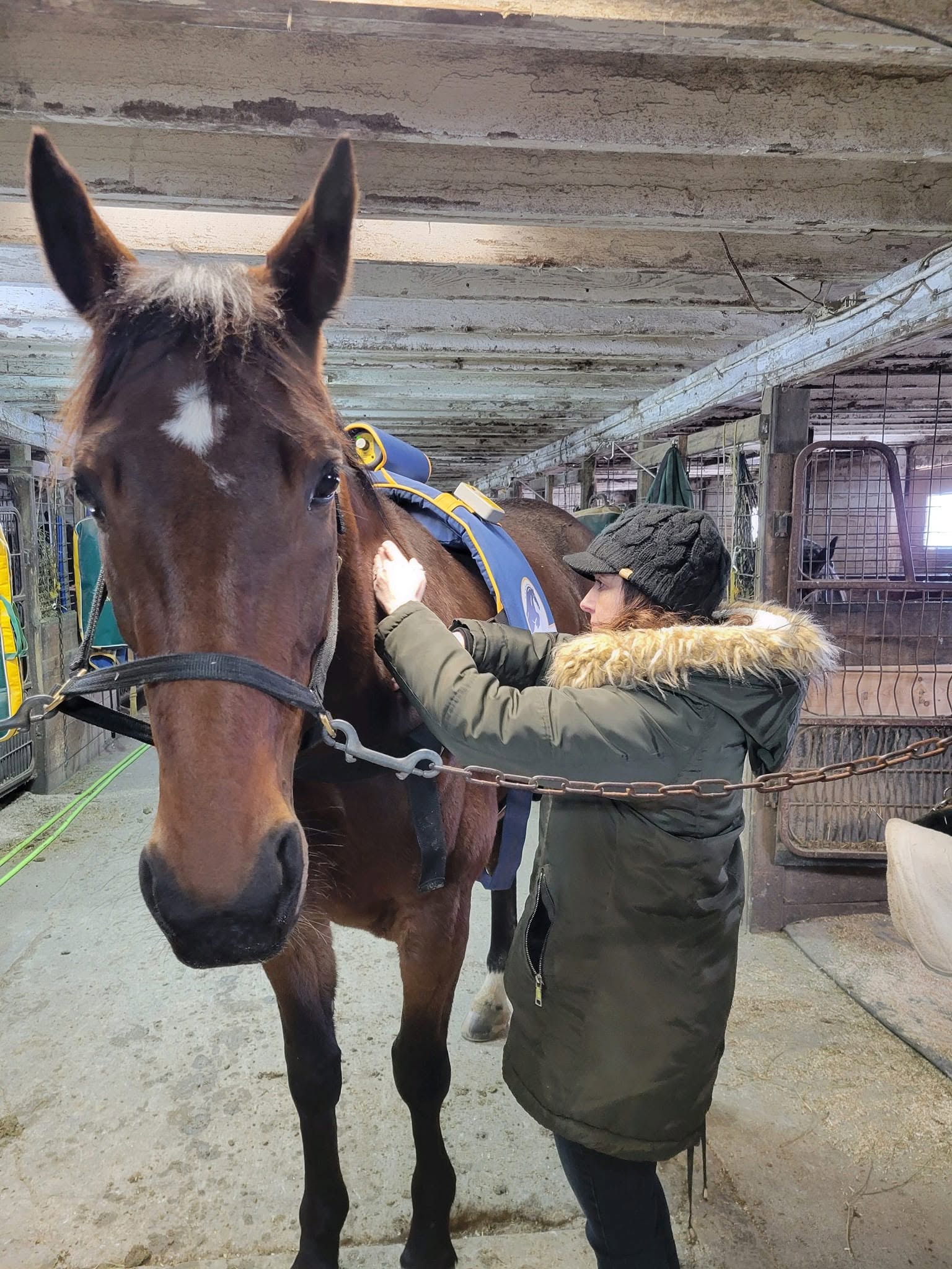 Child adjusting saddle on a brown horse inside a stable, wearing a dark coat with a fur-lined hood.