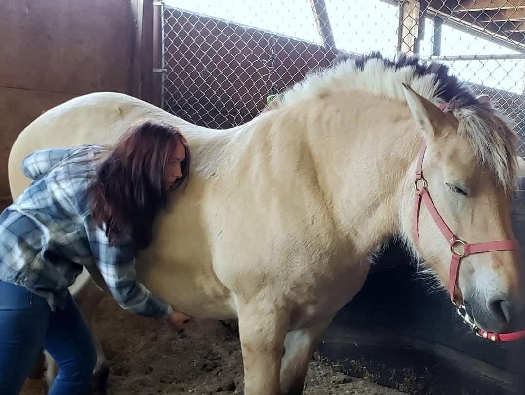 Person with dark hair and plaid shirt leaning on a light-colored horse inside a stable.