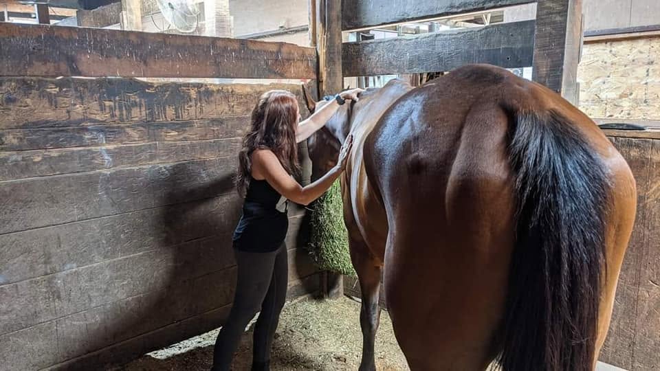 Person grooming a horse in a stable, facing the horse's side, with wooden walls in the background.
