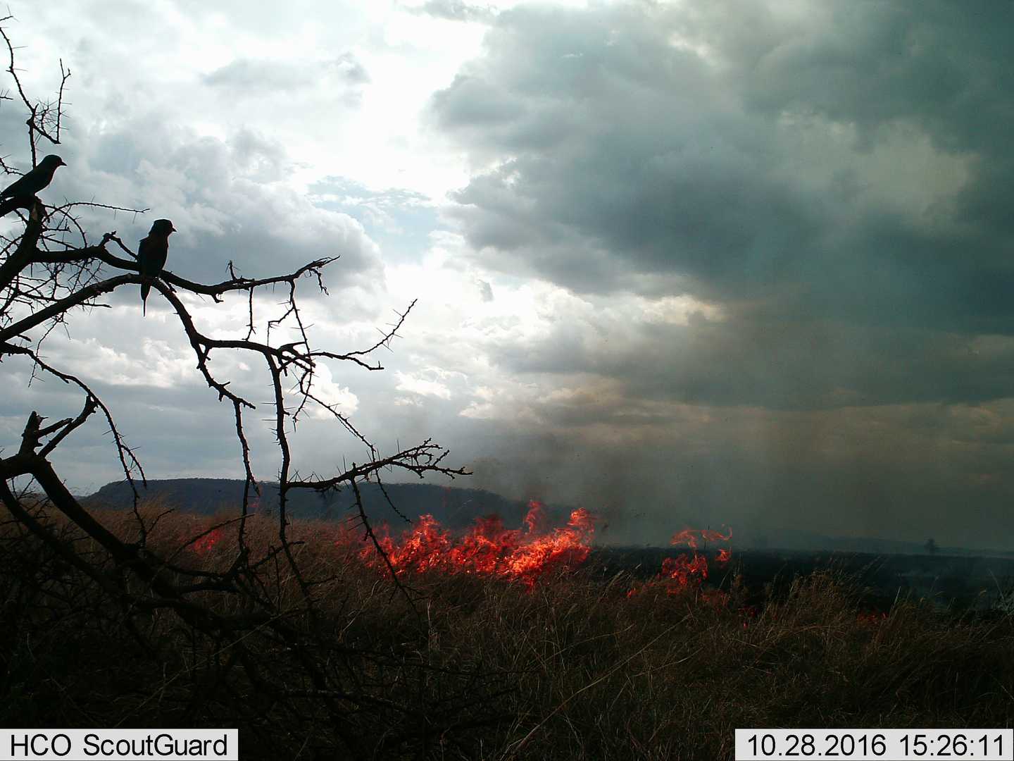Cloudy sky over a landscape with a fire on the ground, leafless tree branches in the foreground, and distant hills.