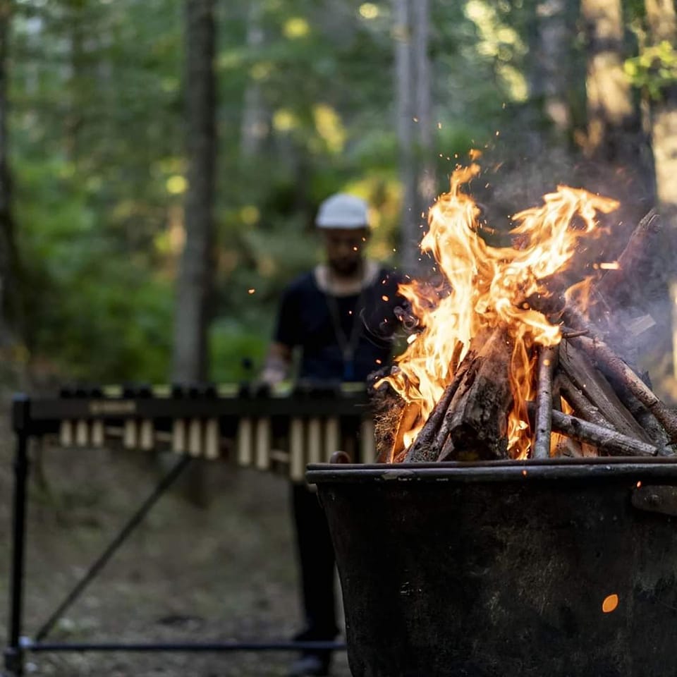 Fire burning on logs outdoors with a person in the background, trees and sunlight visible.