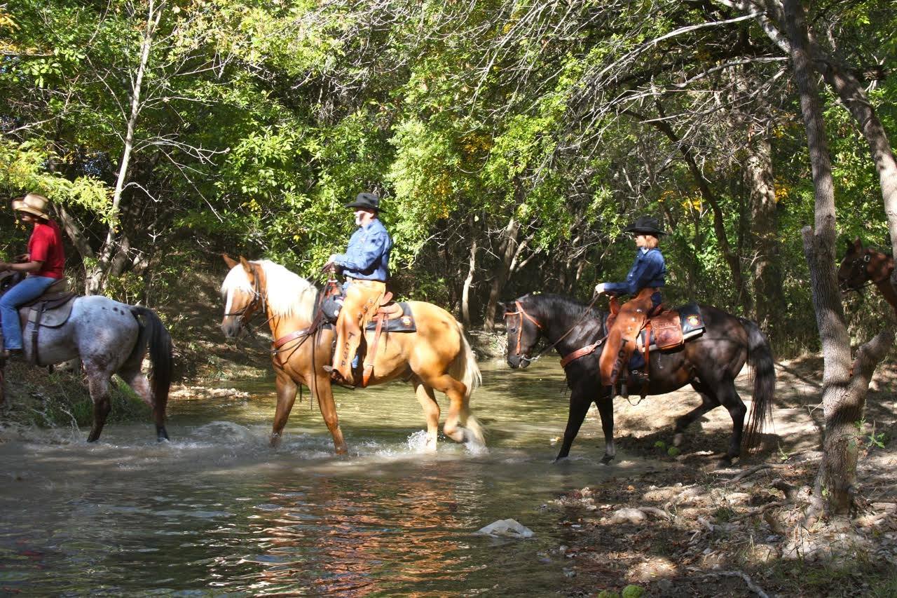 Three people riding horses through a shallow water stream surrounded by trees and greenery.