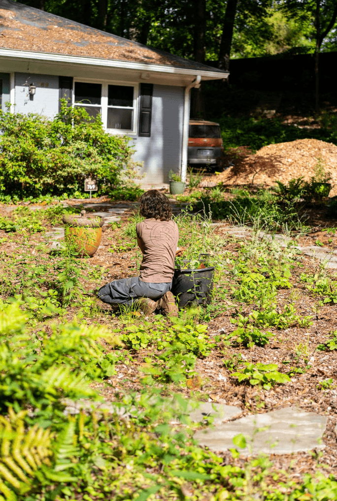 Person with curly hair kneeling in a garden, surrounded by plants and greenery, with a house and trees in background.
