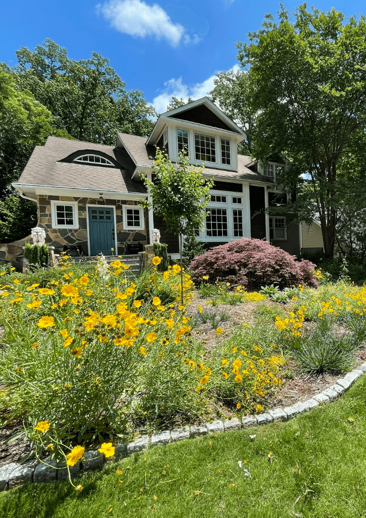 Two-story house with a garden filled with yellow flowers, trees, and a blue sky background.