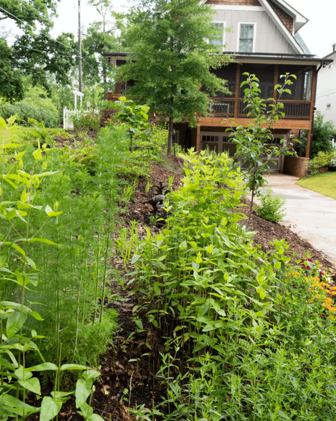 Garden with lush green plants and shrubs in front of a house with a porch, trees, and a pathway.