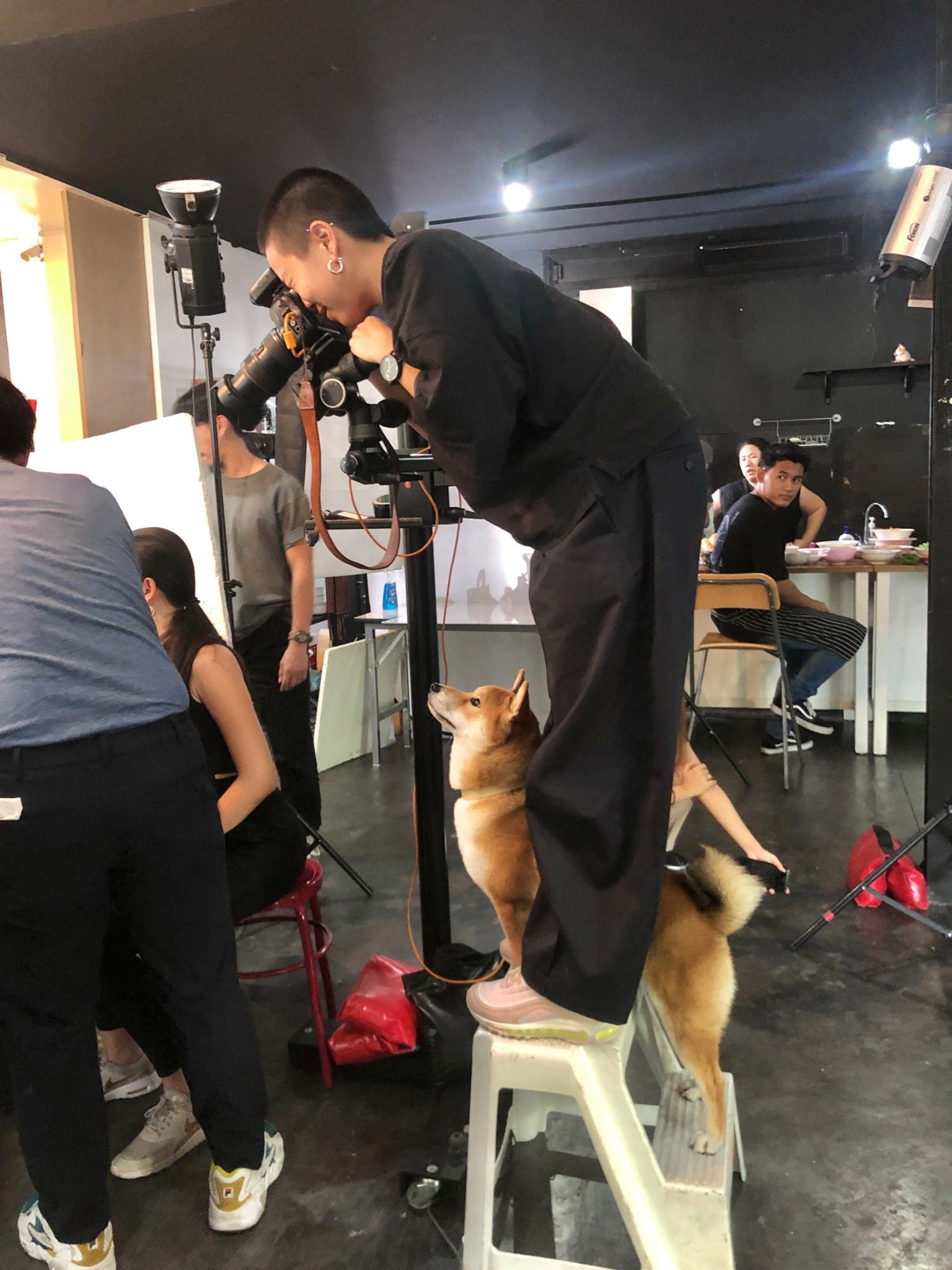 Person looking through a microscope with a dog nearby in a room with other people and equipment.
