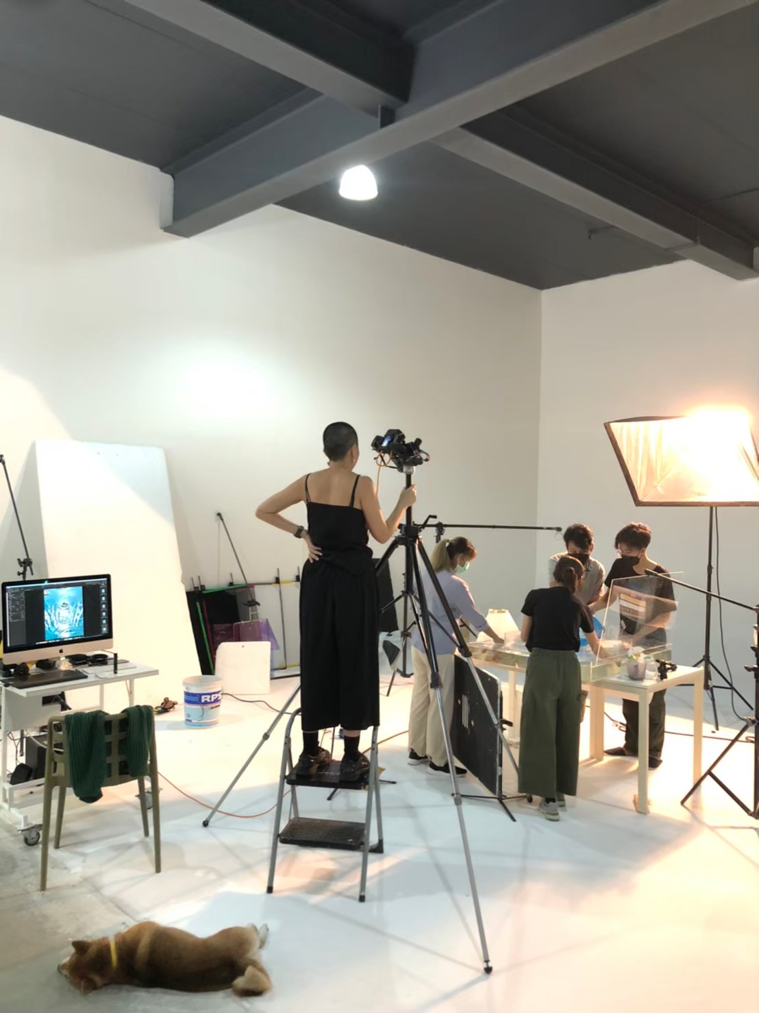 Group of people in a studio with lighting equipment, a person on a ladder, and a dog lying on the floor.