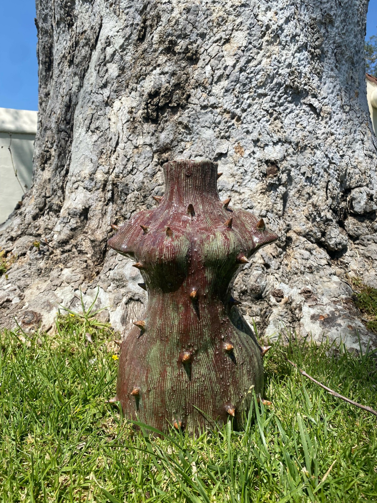 A tree trunk with a large hole, surrounded by green grass and plants, with a rocky background.