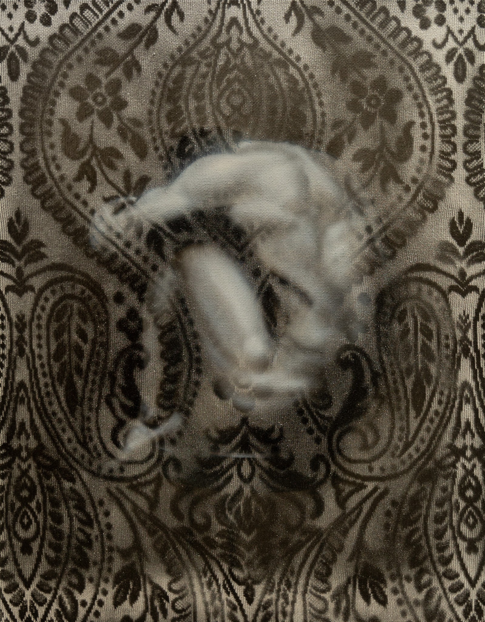 A cat curled up and sleeping on a patterned fabric surface.