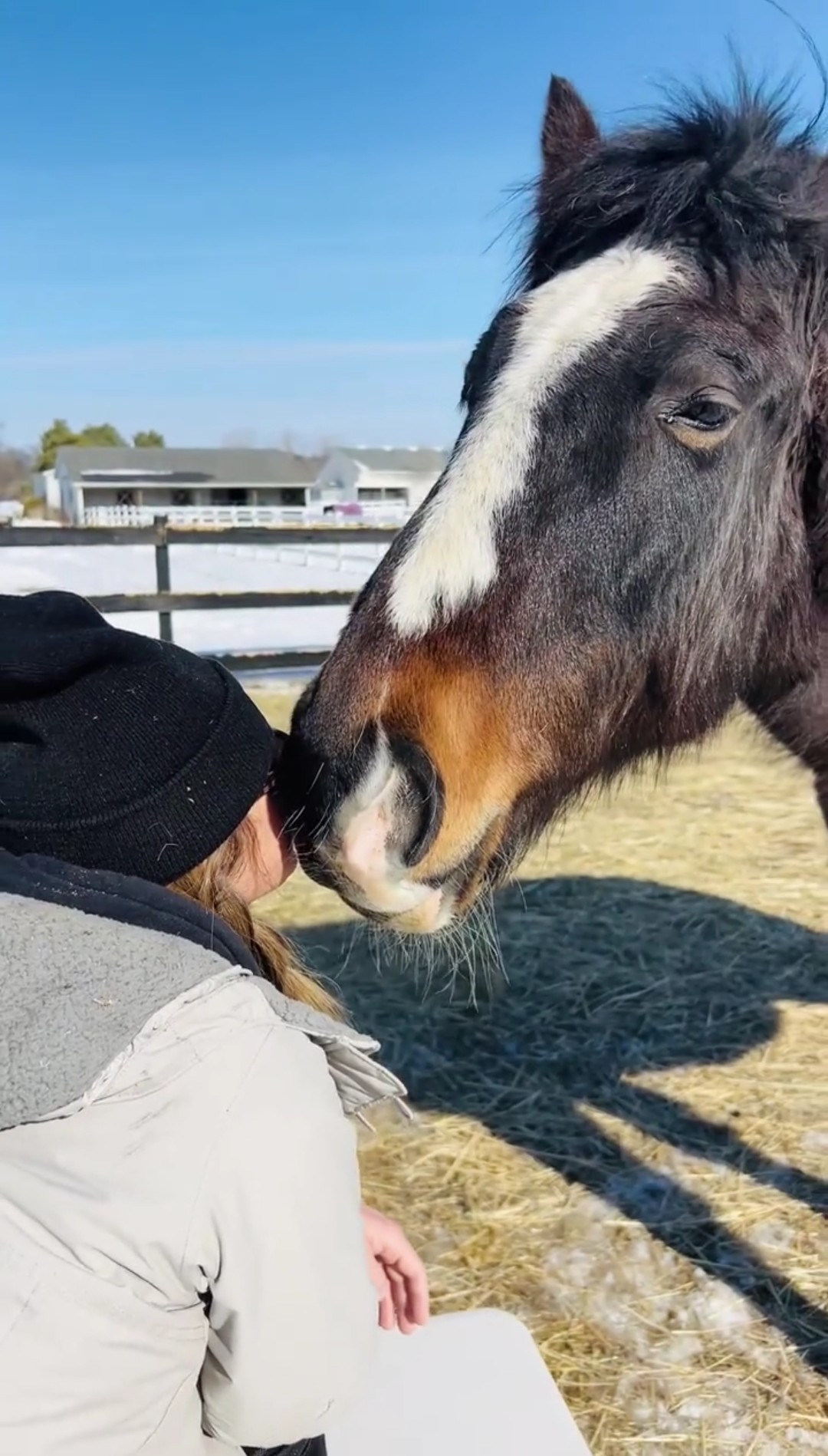 Person wearing a black hat and light-colored jacket interacts with a horse outdoors on a sunny day.