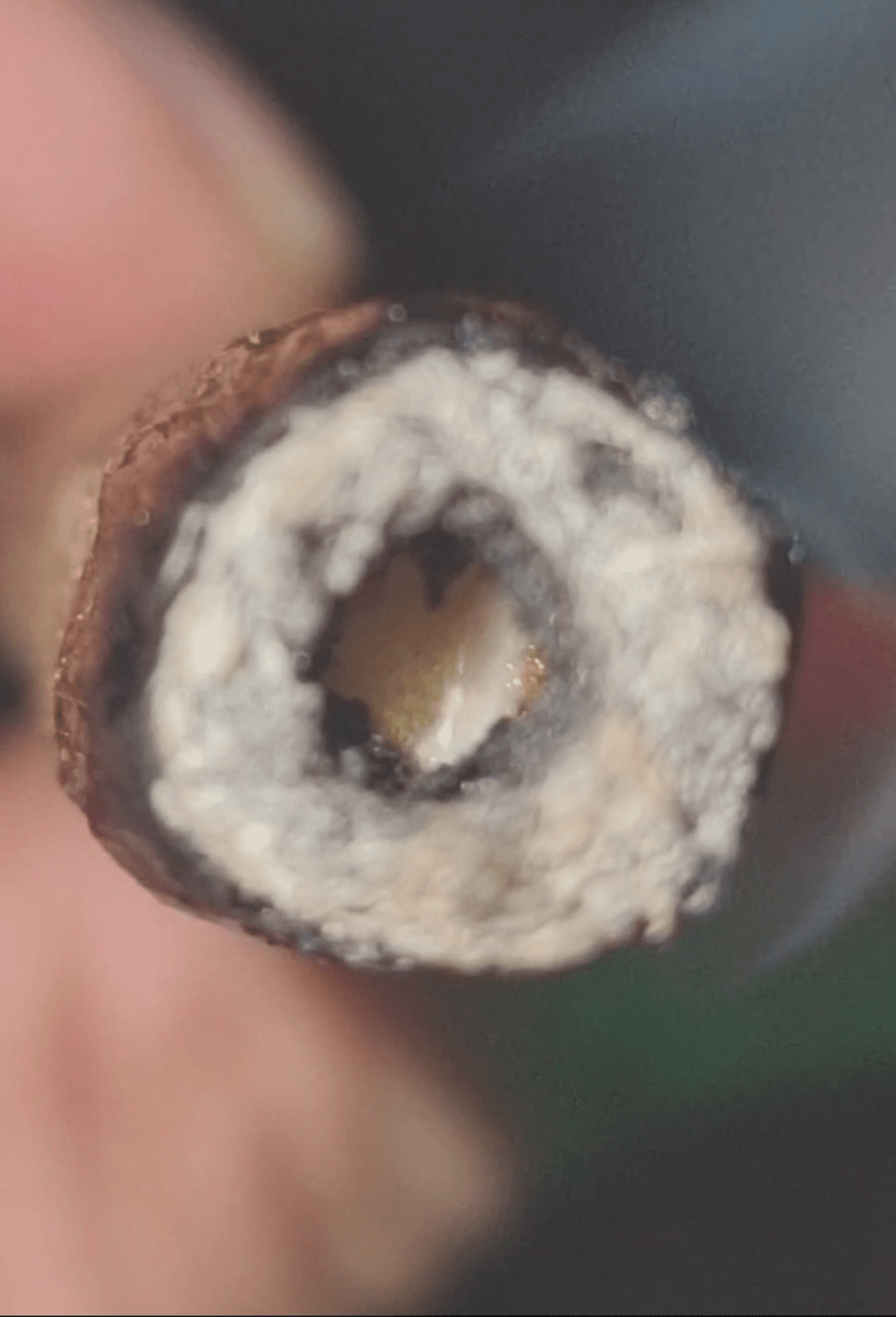 Close-up of a cross-sectioned object with white interior and dark outer layer, held by a hand.