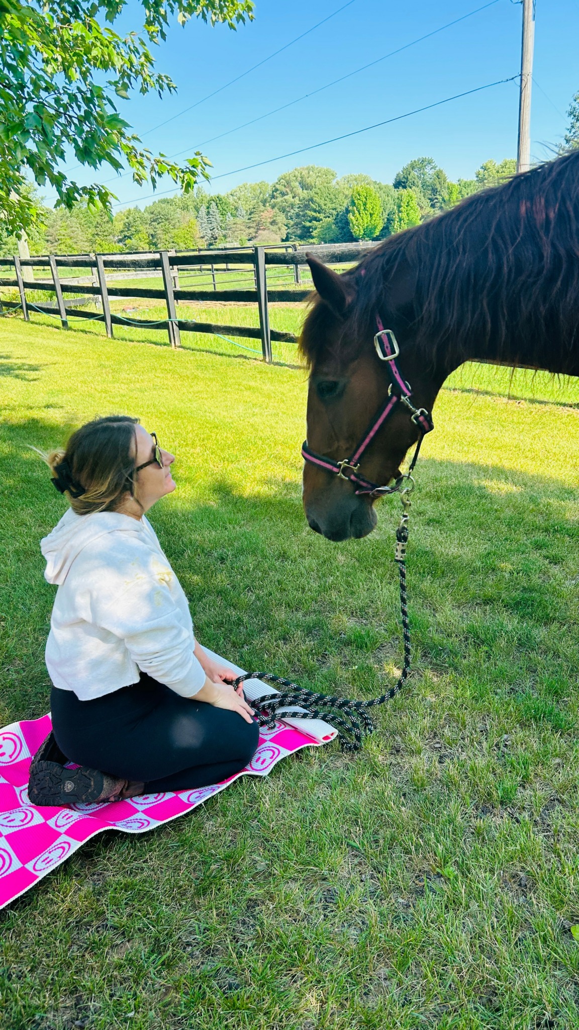Child sitting on a pink blanket facing a horse in a grassy field, with a wooden fence and trees in the background.